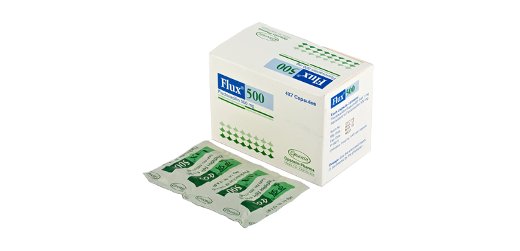 Flux 500